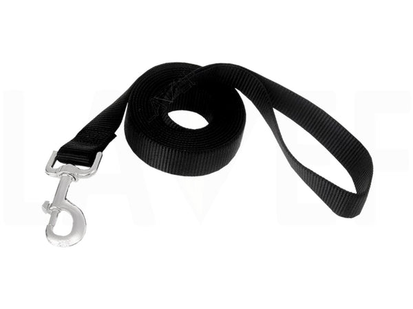 Guía de Seguridad para Mascotas