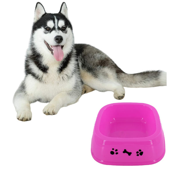 Cuenco Colorido para Mascotas